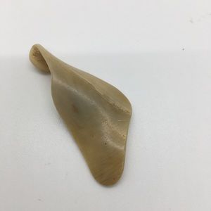 RARE Seashell found this AM on Palm Beach Florida